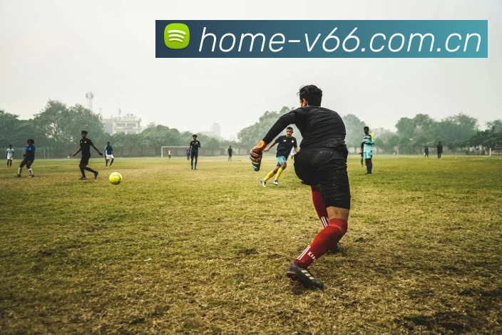 v66官网App